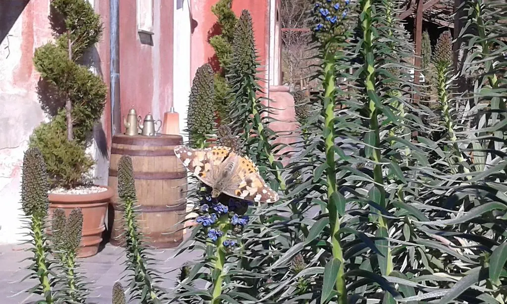 Agriturismo Gocce Di Luna Celle Ligure Bed & Breakfast