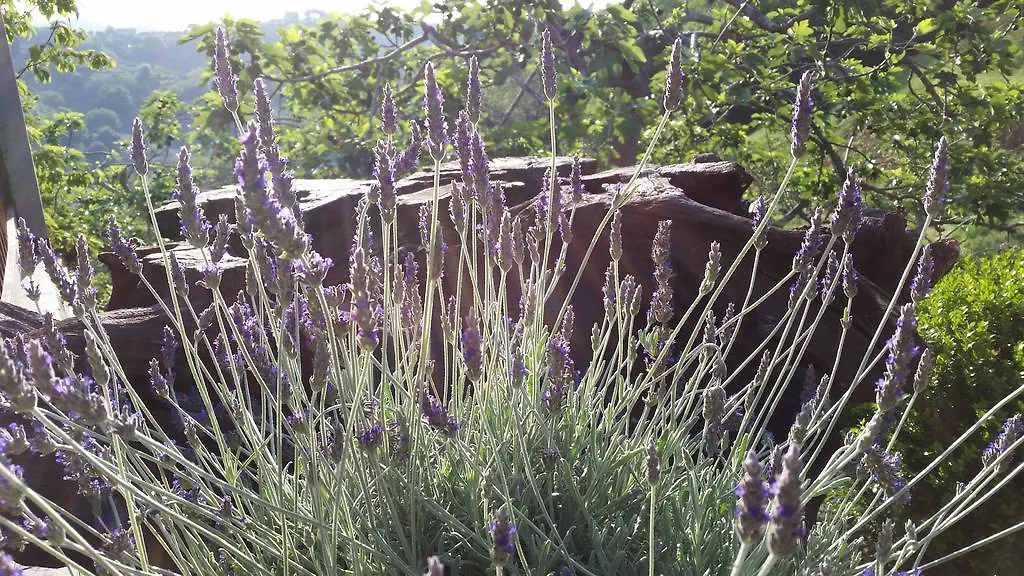 Agriturismo Gocce Di Luna Челле-Лигуре Отель типа 