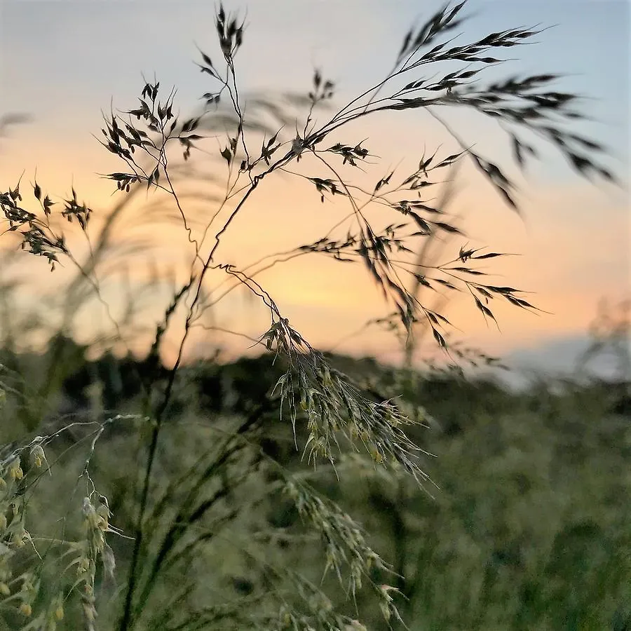 Agriturismo Gocce Di Luna Celle Ligure